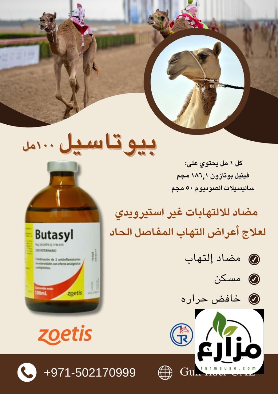 بيطره