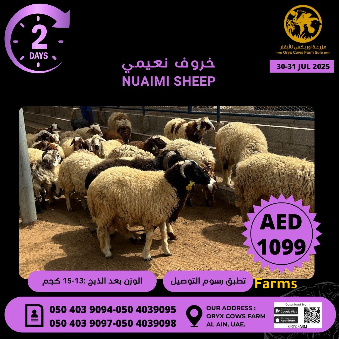 مزرعة اوركس
