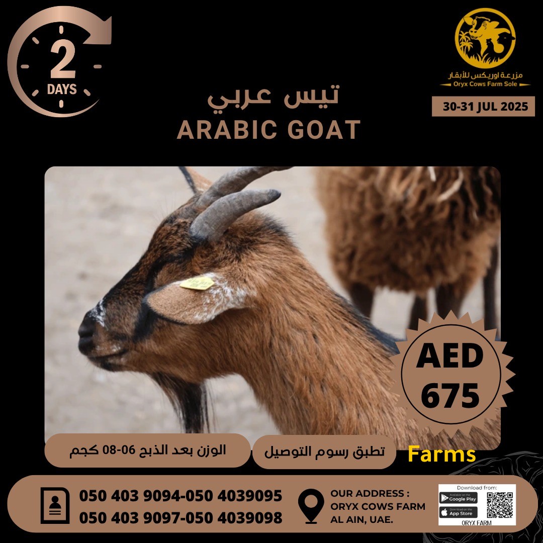 مزرعة اوركس
