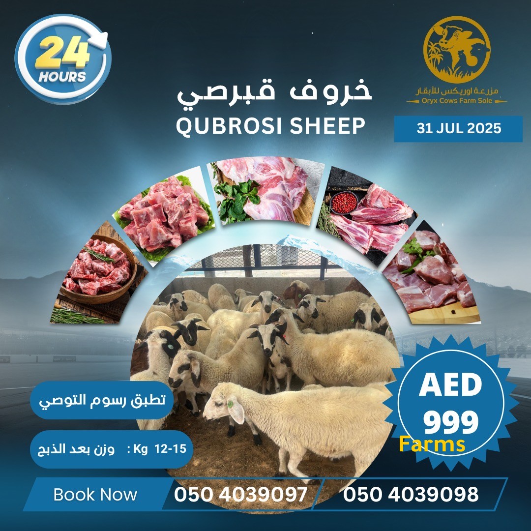 خروف قبرصي مذبوح