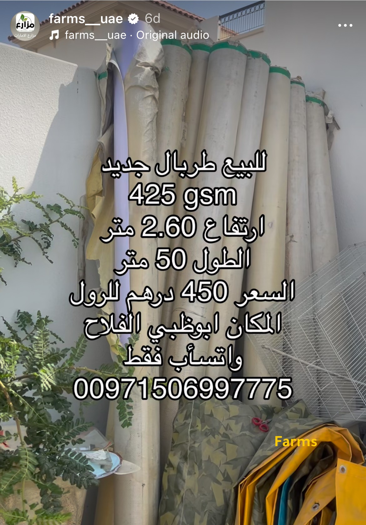 طربال جديد
