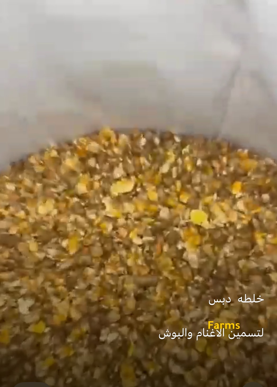خلطة دبس