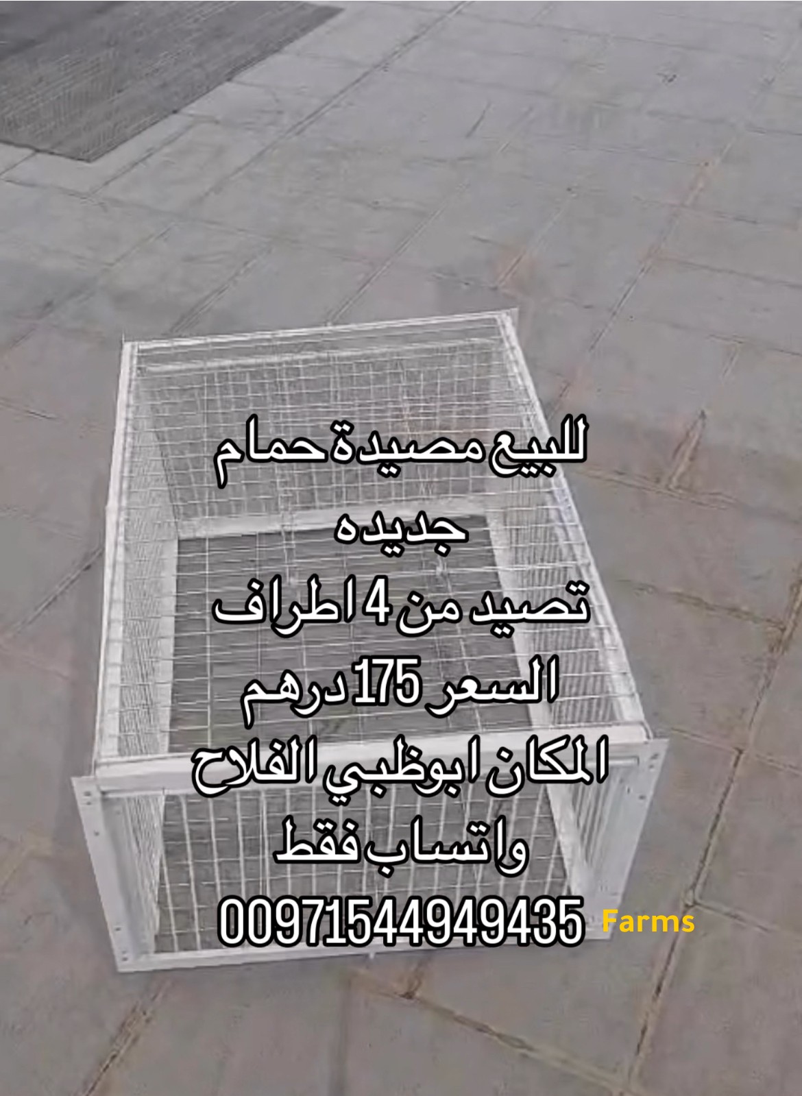 مصيدة طيور