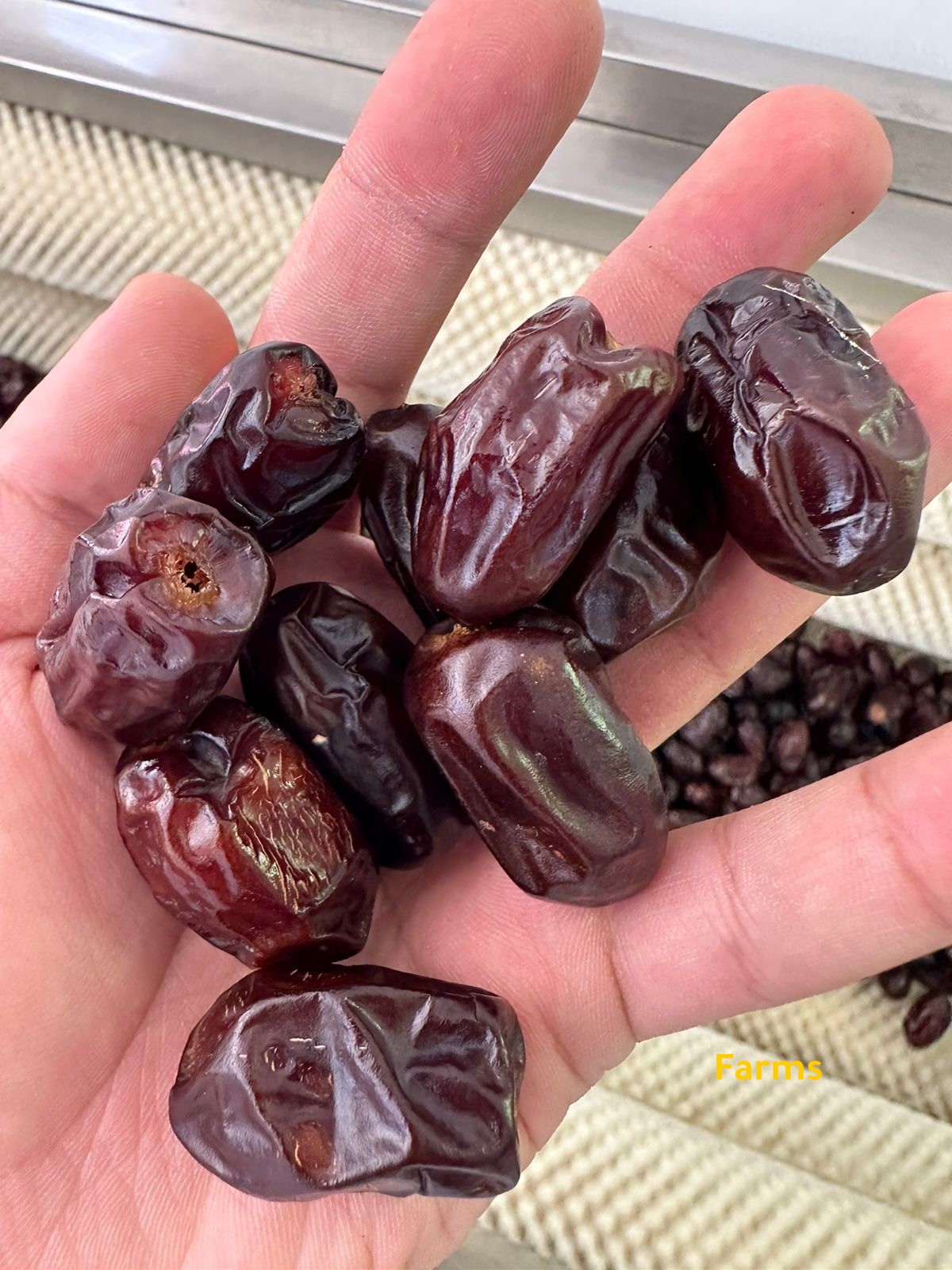 مكاين تنظيف التمور