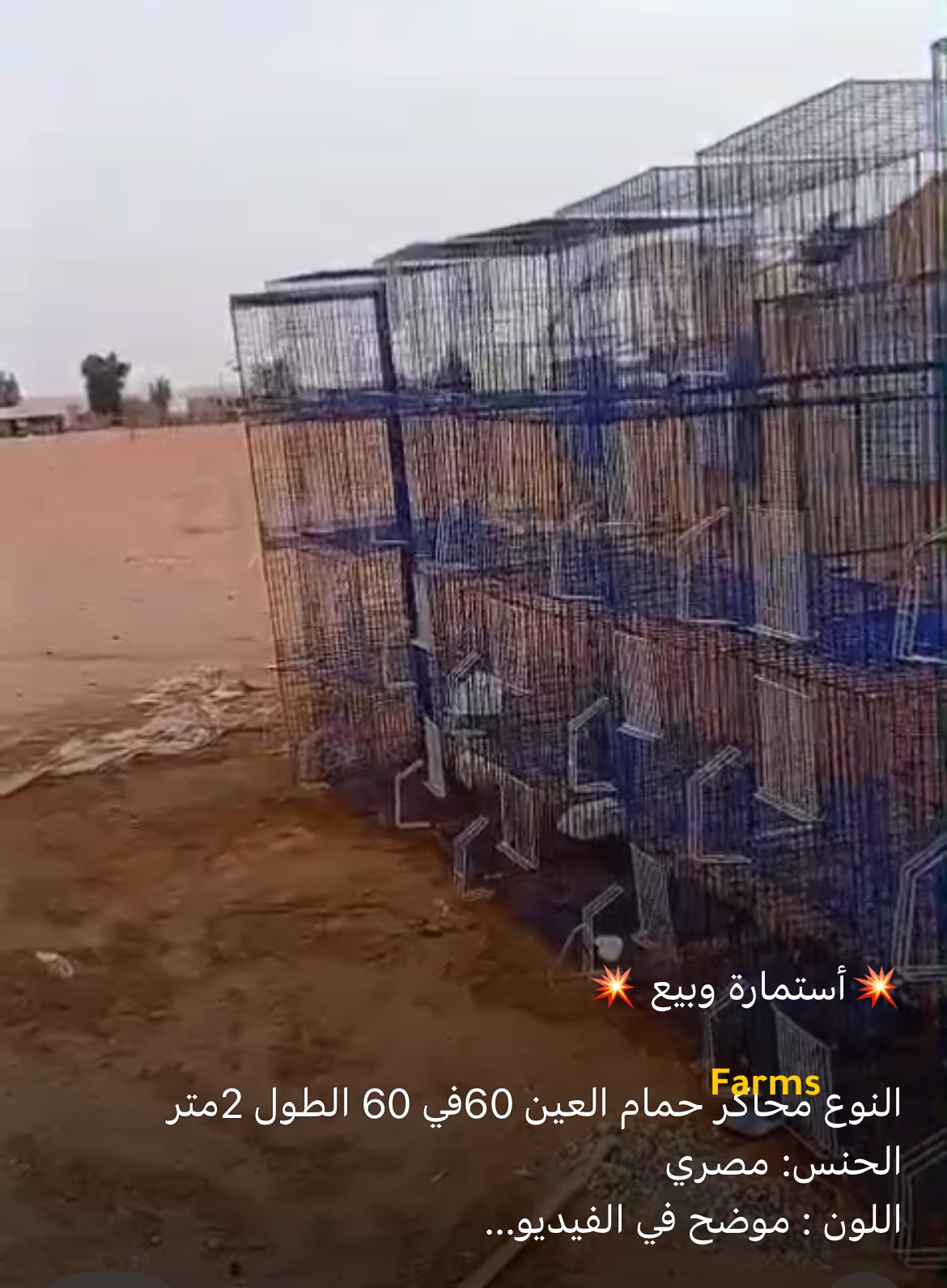 محاكر حمام