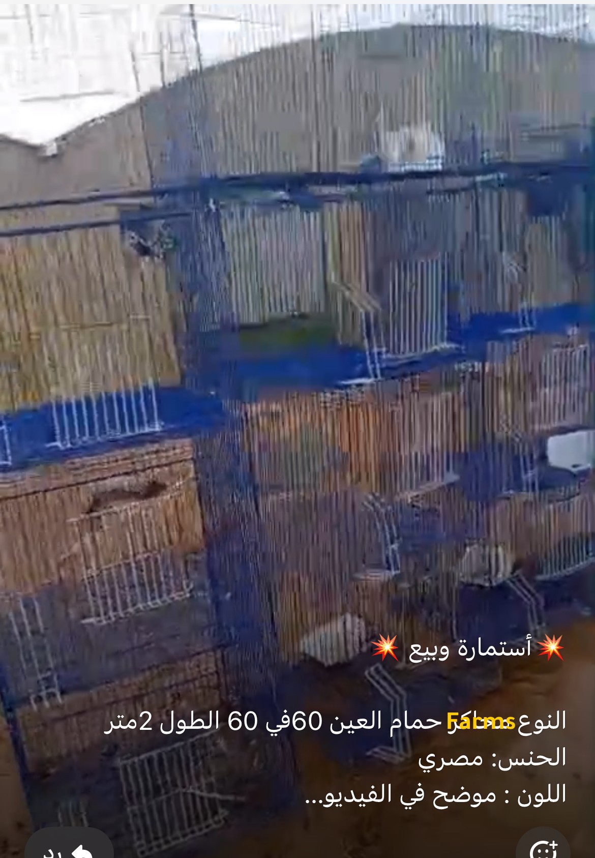 محاكر حمام