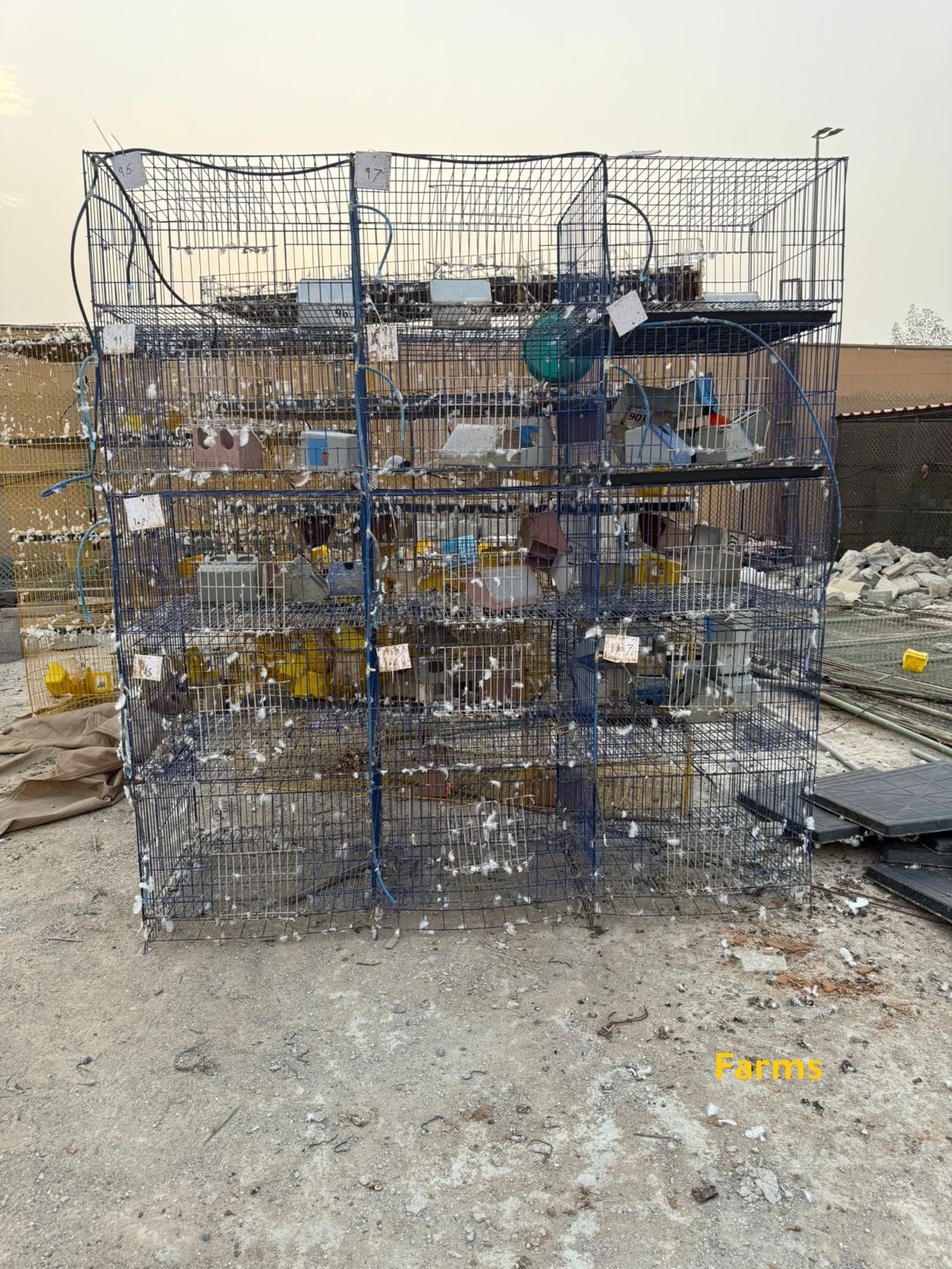 محاكر طيور مستعمله
