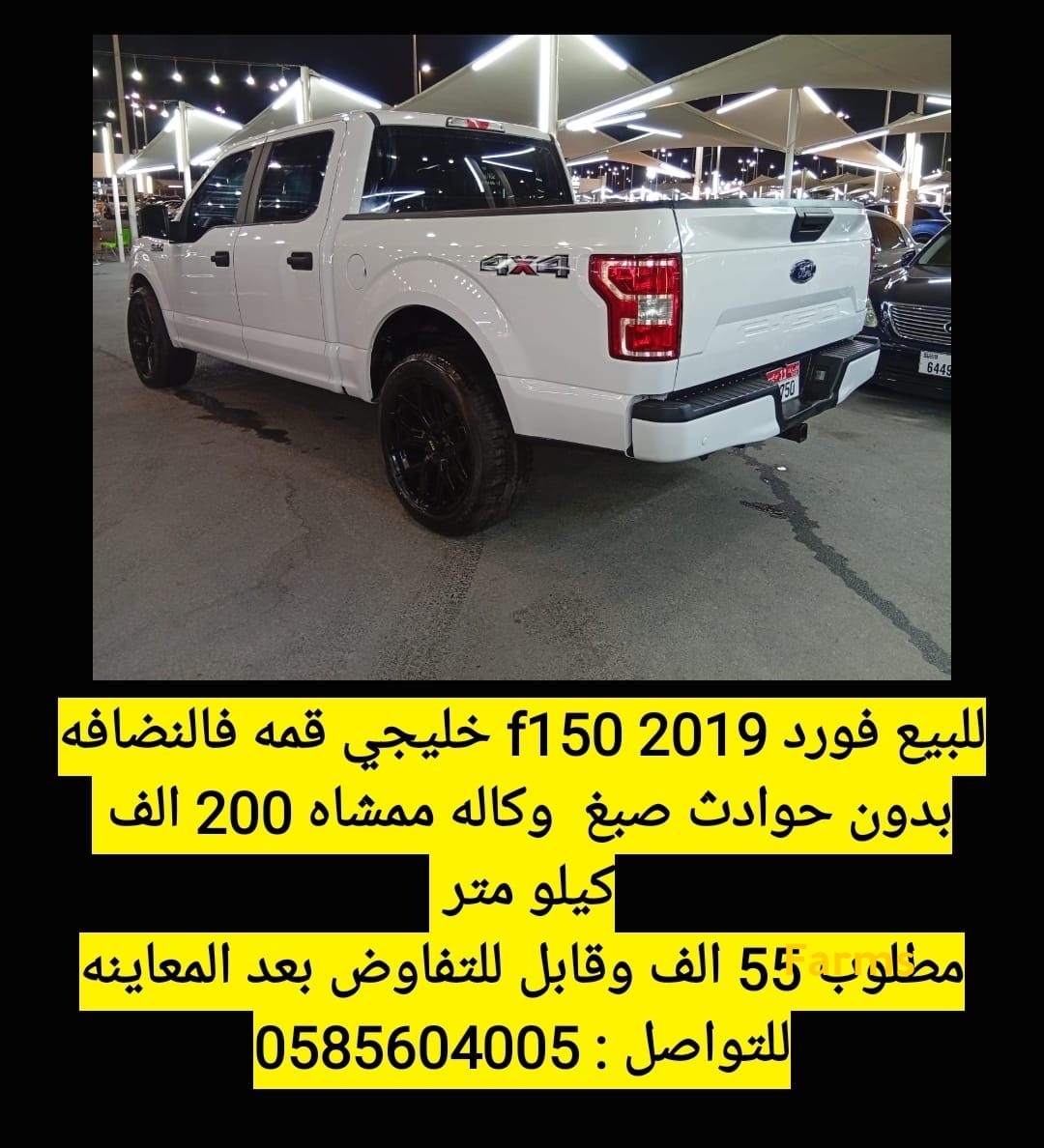 فورد f1 50 2019