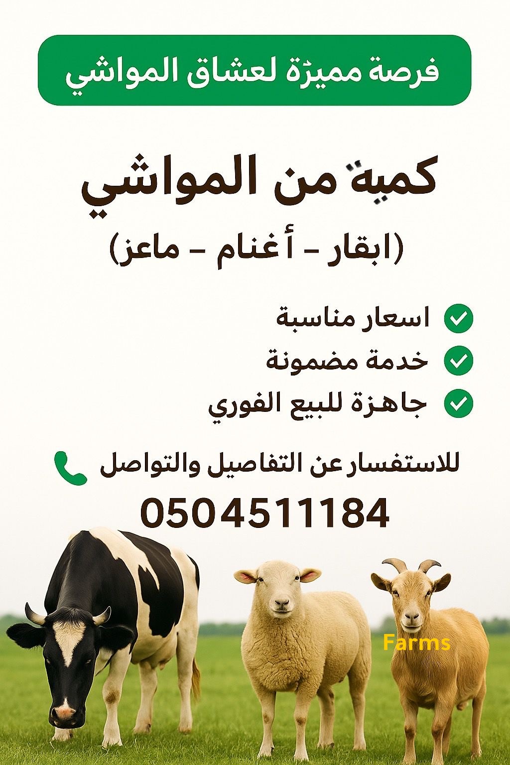 ابقار للبيع