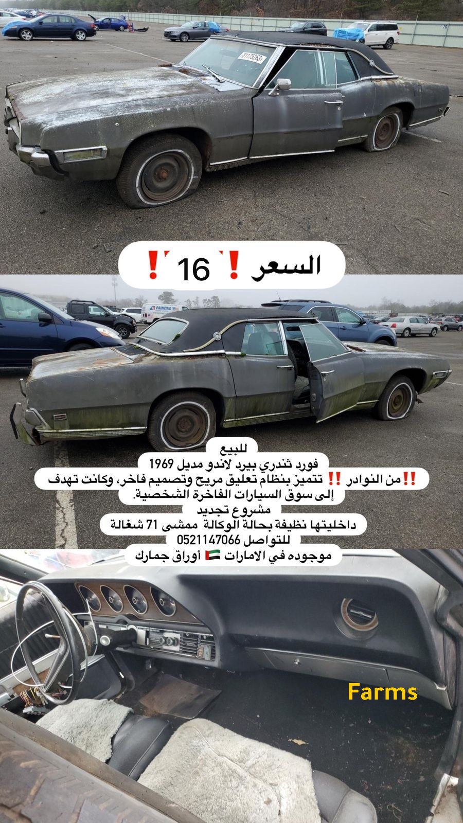 فورد ثاندري بيرد 1969