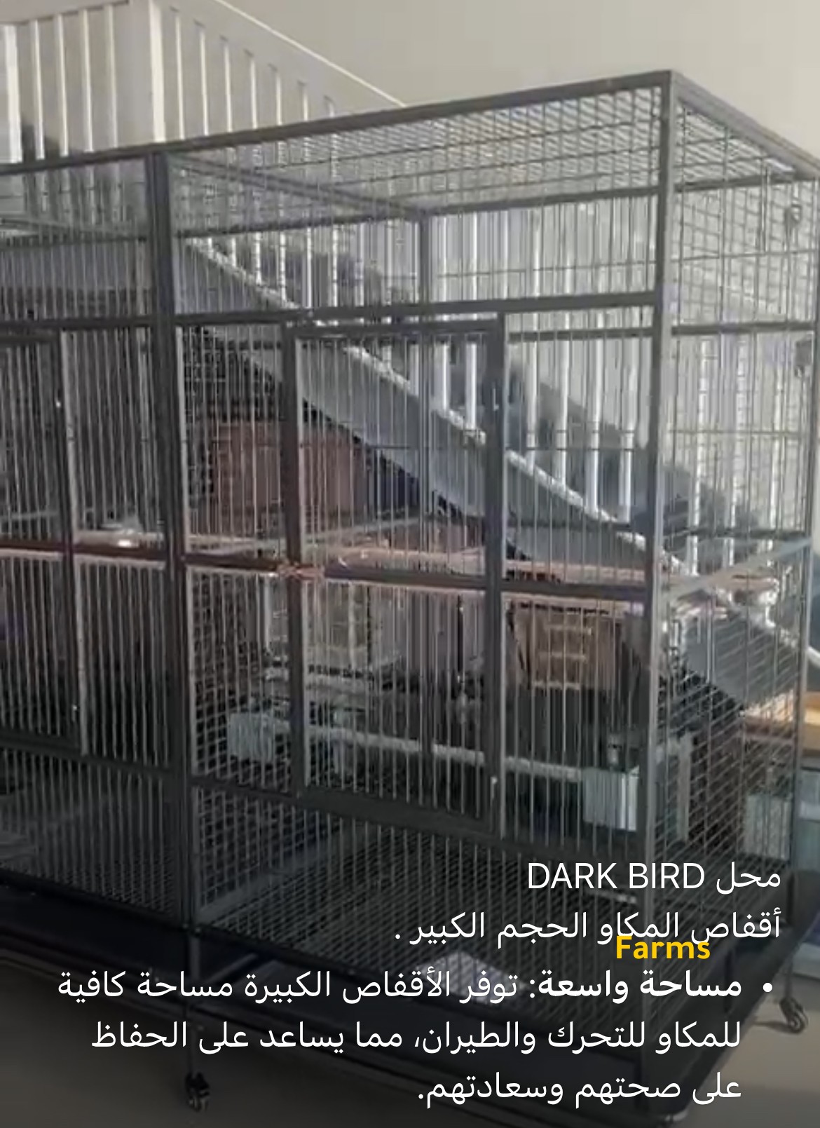 اقفاص جديده لطيور الزينه