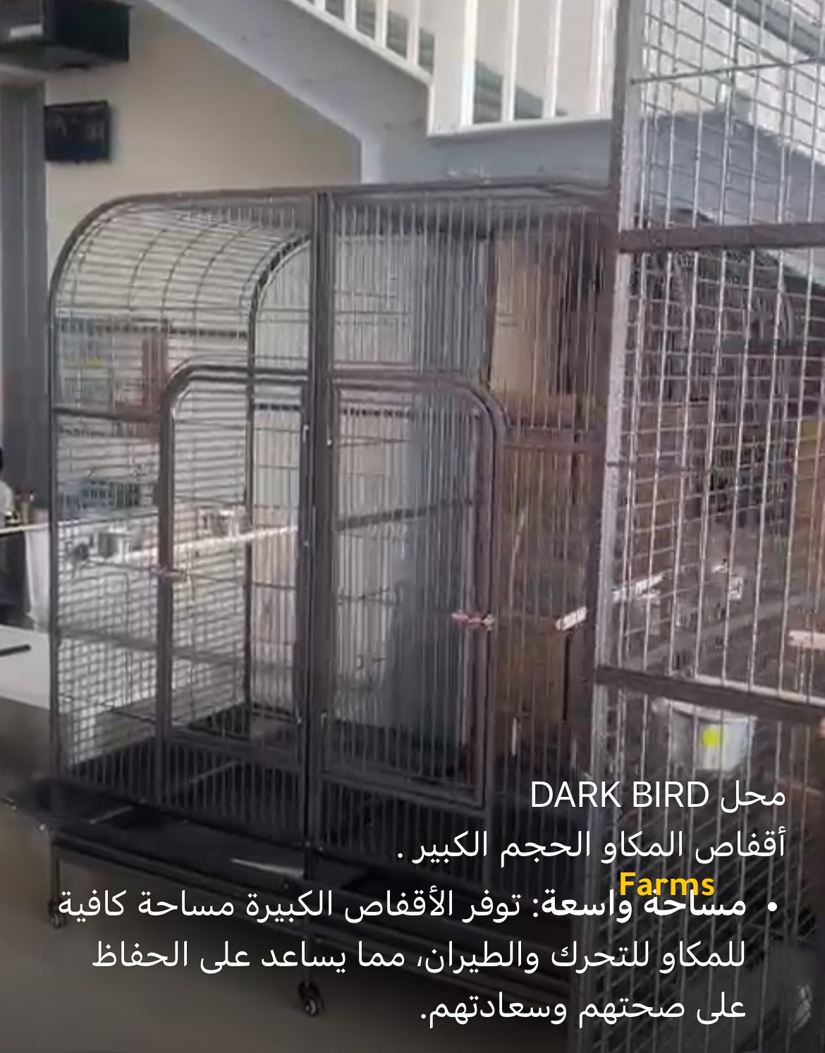 اقفاص جديده لطيور الزينه