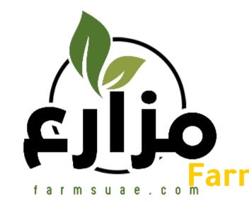 مستعمل الامارات