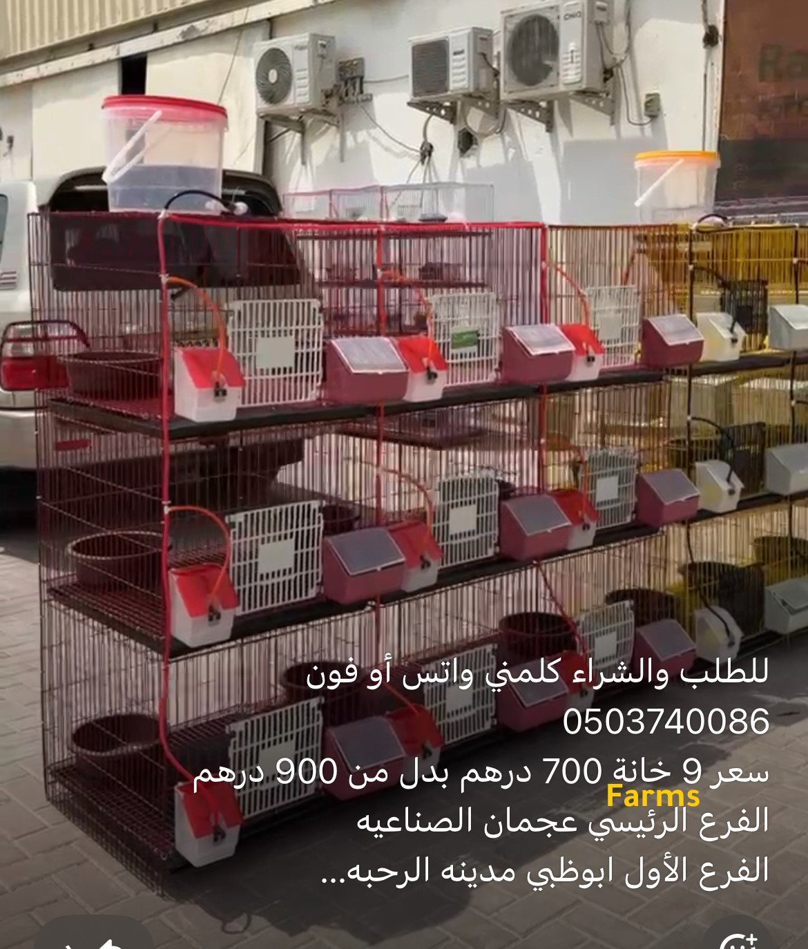 اقفاص من رابتكوا