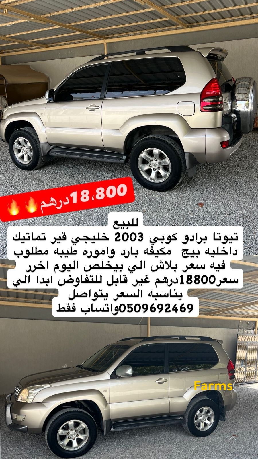 برادو كوبي