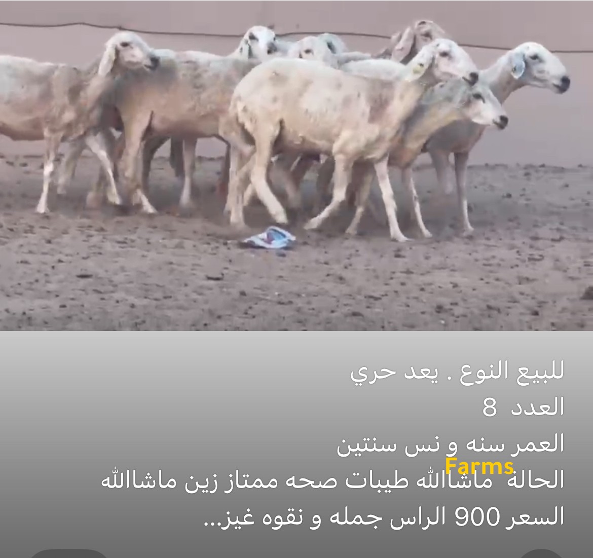 يعد حري