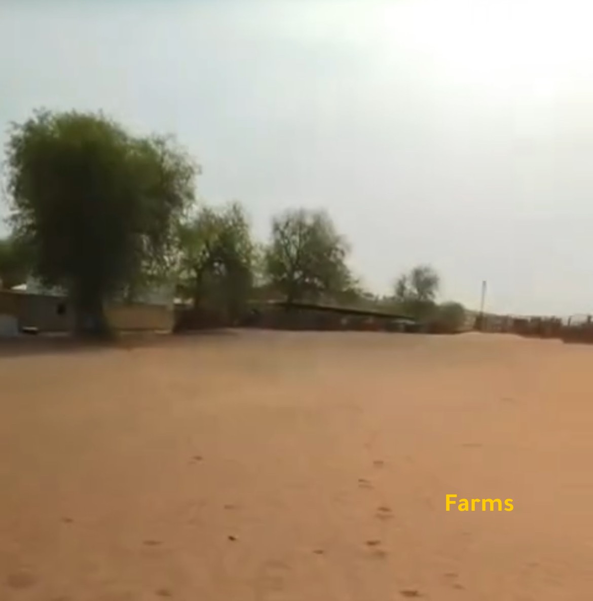 عزبه للبيع في ناهل جسر 14