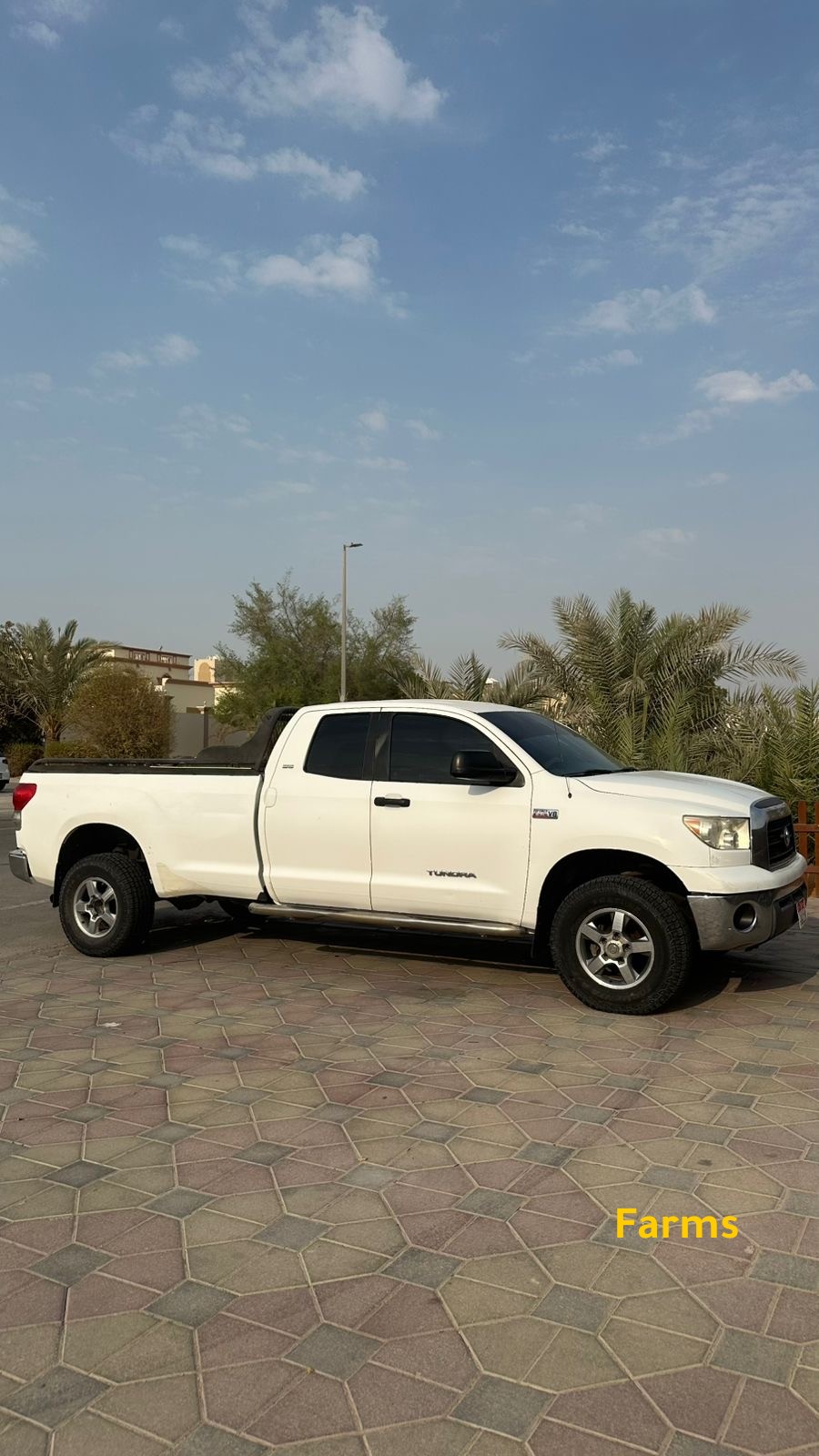 تندرا 2008