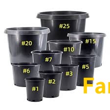 فكر بره الصندوق