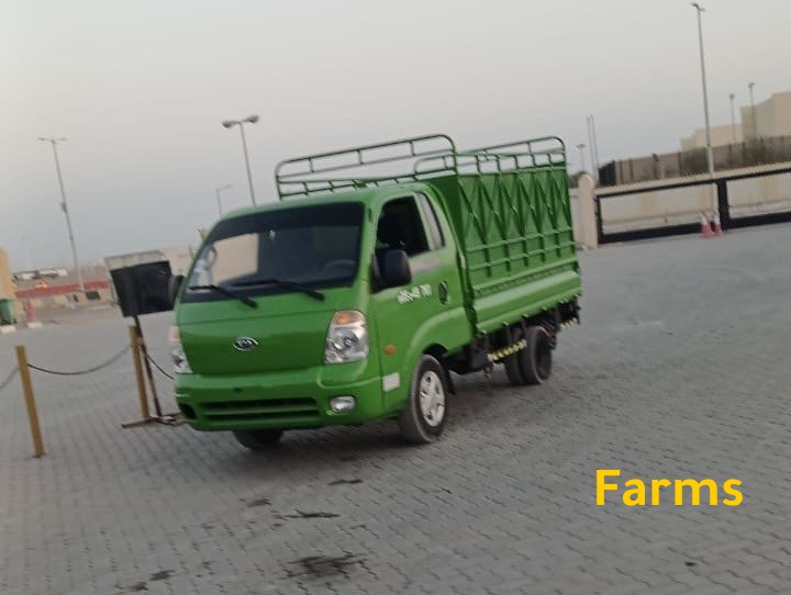 بكب كيا 2022