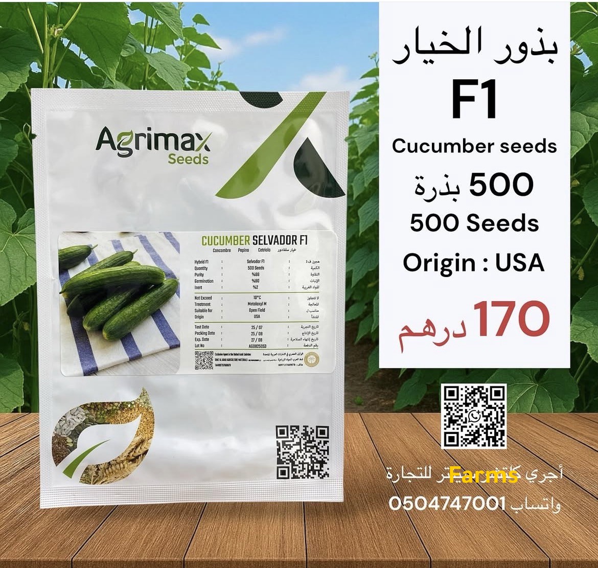 بذور الخيار F1