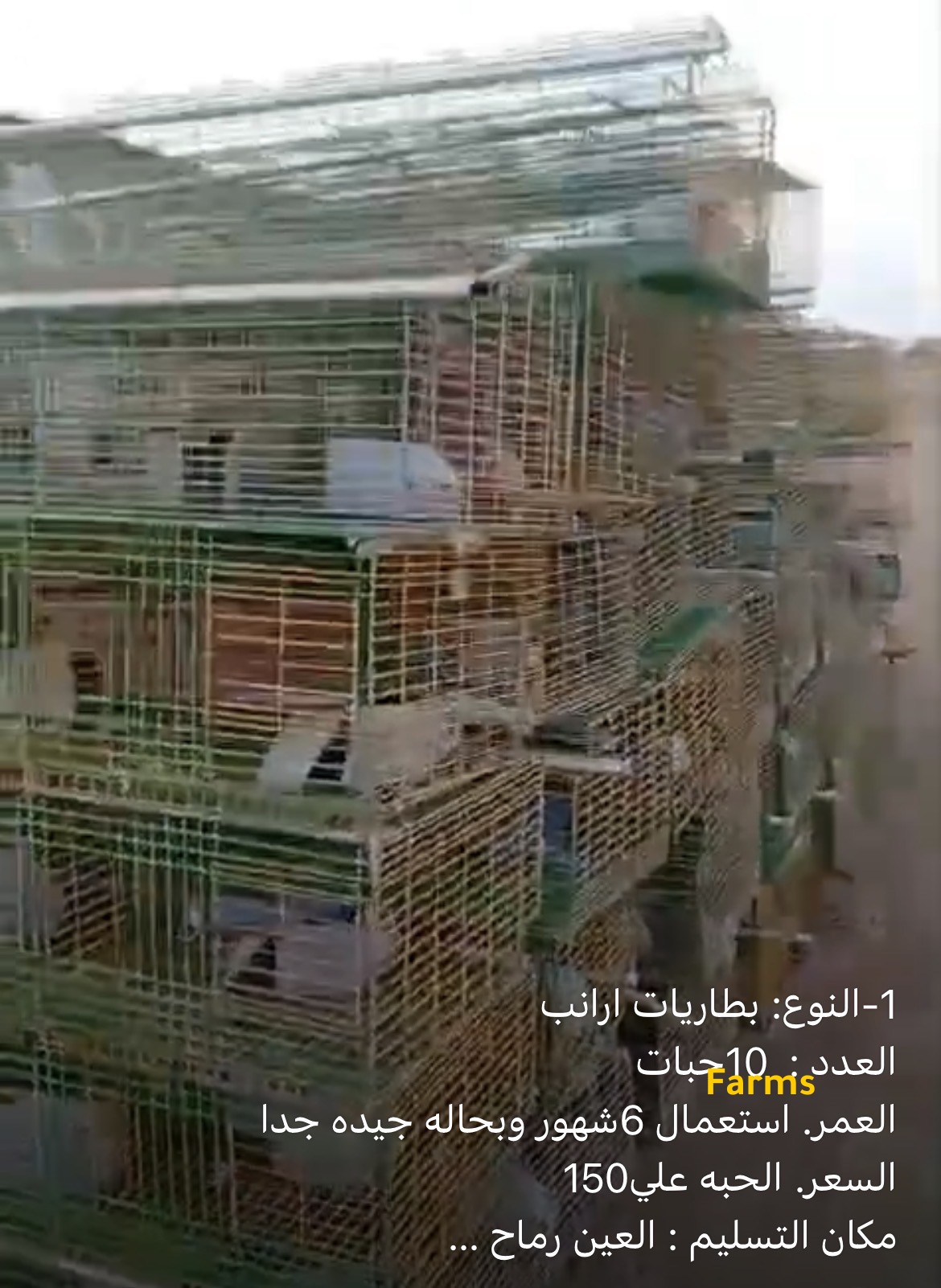 بطاريات ارانب مستعملة