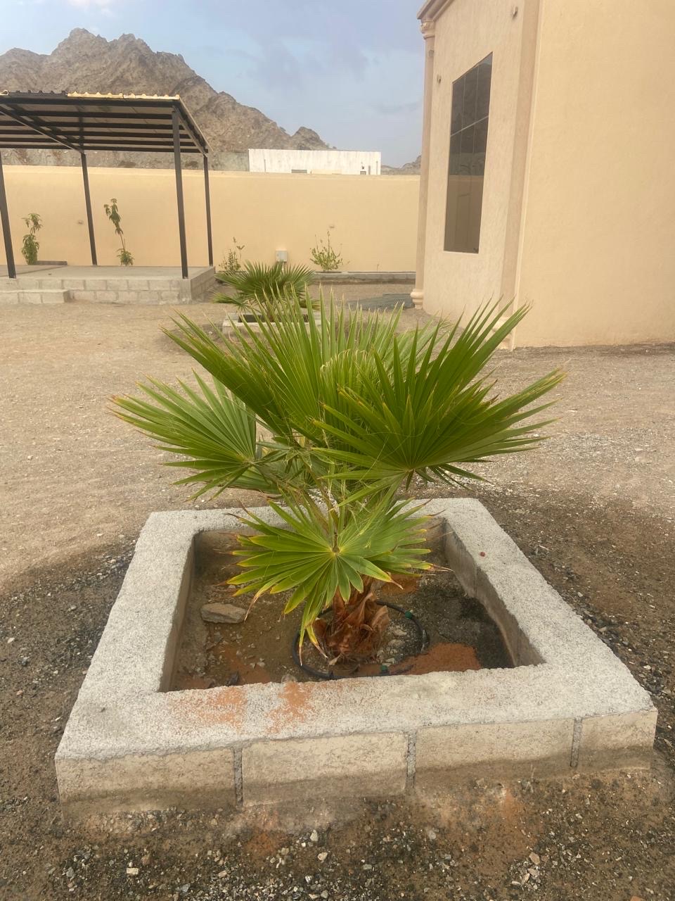 بولاريس موديل 2007