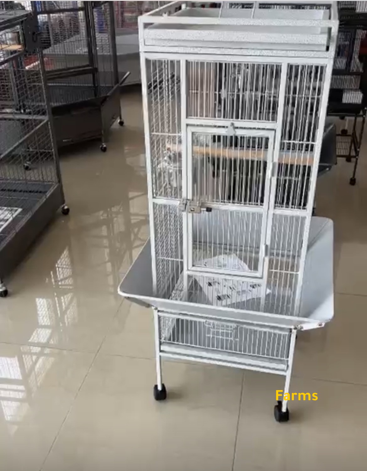 قفص لطيور الزينه