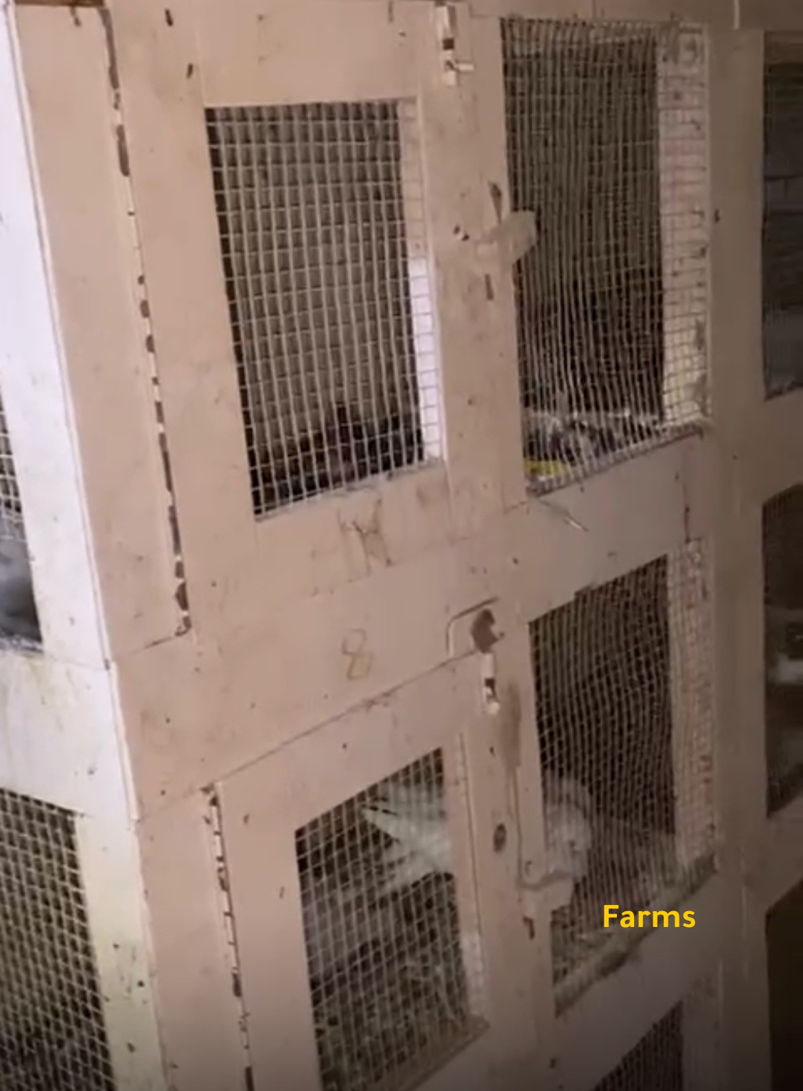 محكر خشب 26 عين مستعمل