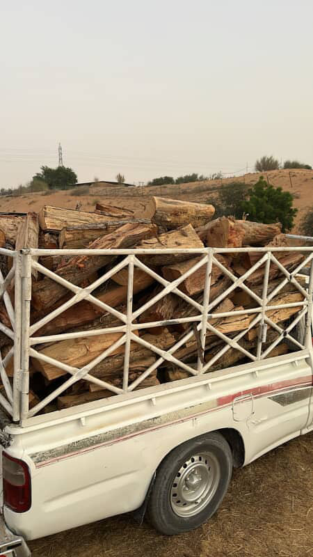 حطب سدر وغاف