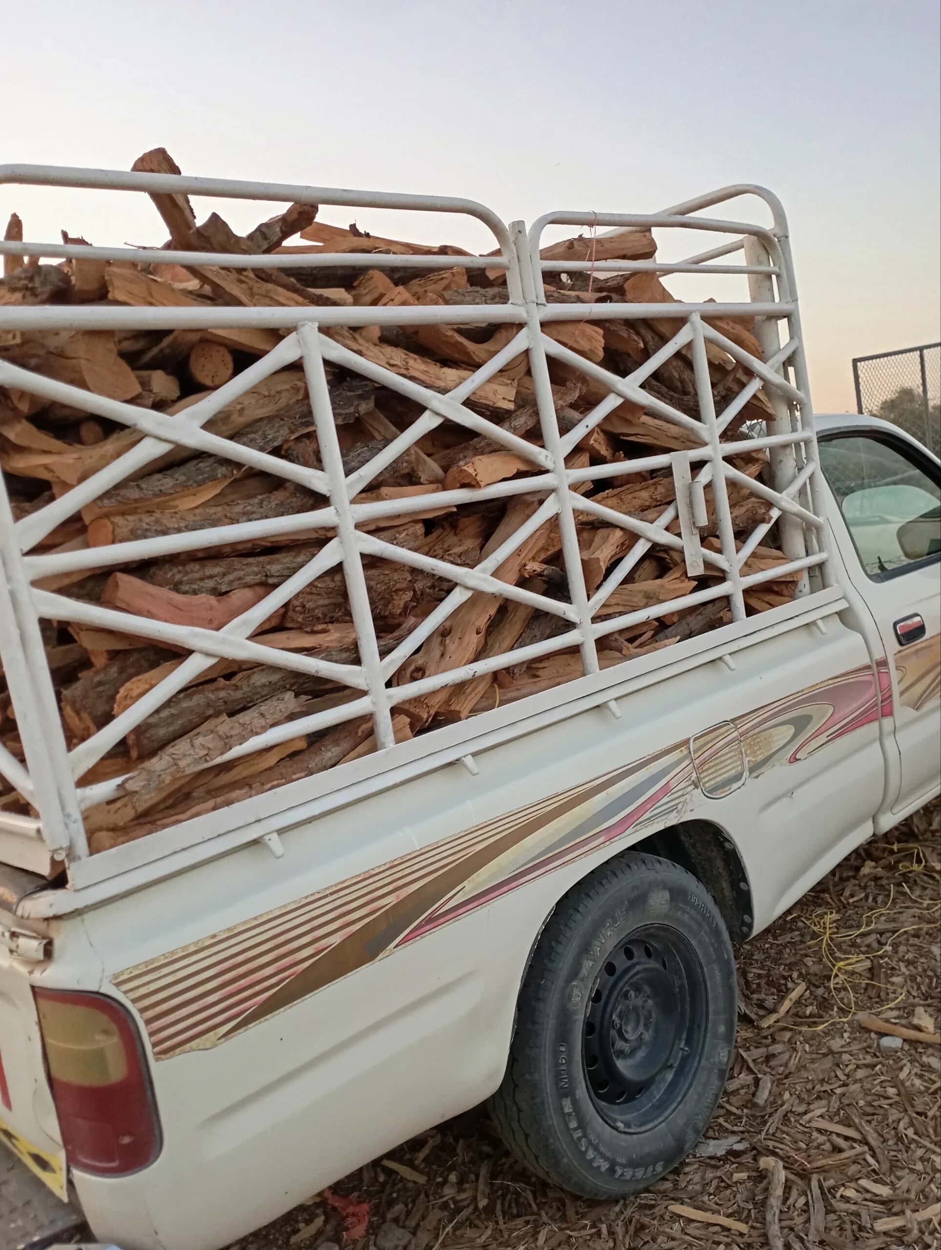 حطب سدر وغاف