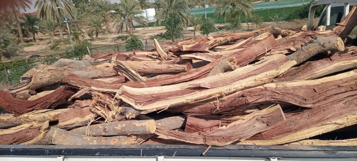 حطب سمر للبيع ابوظبي والعين ودبي 0564556596