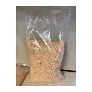 متوفر اكياس نشارة الخشب العصافير الدجاج وبط