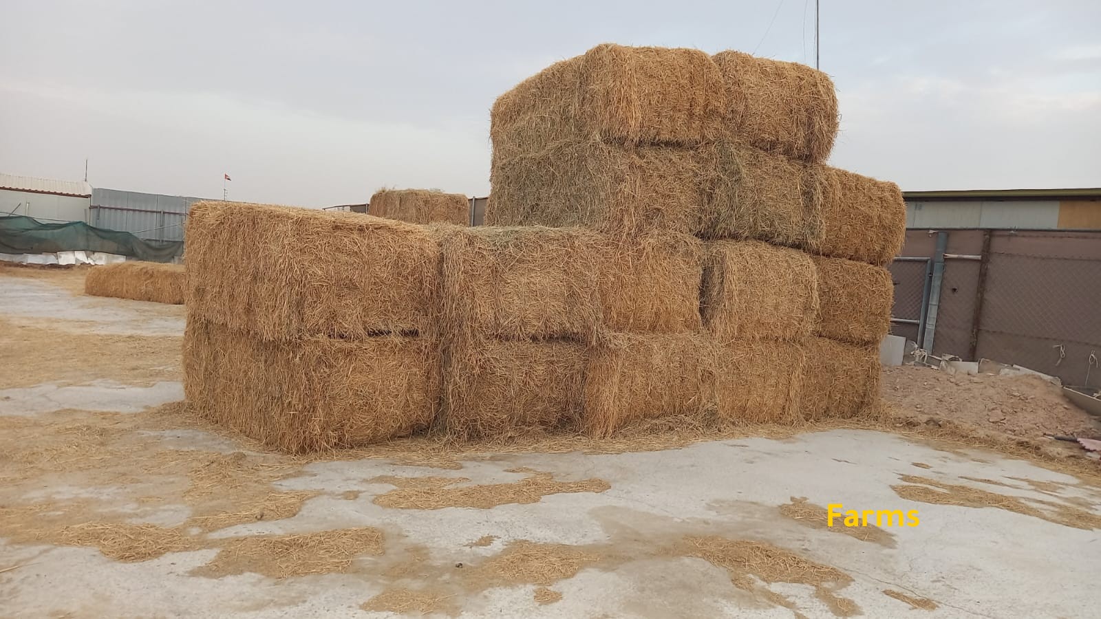 رودس درجه تانيه للبيع