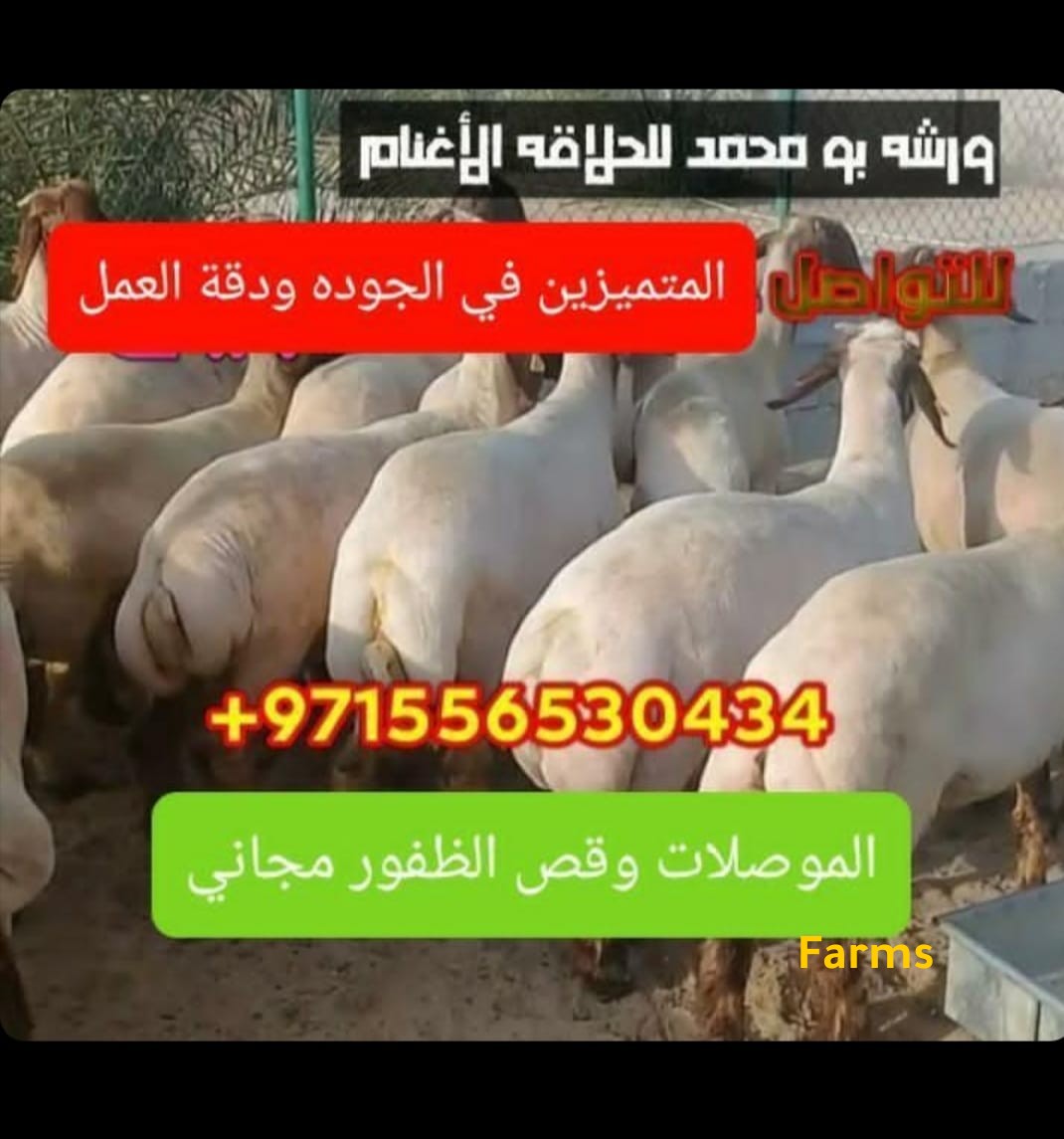حلاقين٢٠١٠