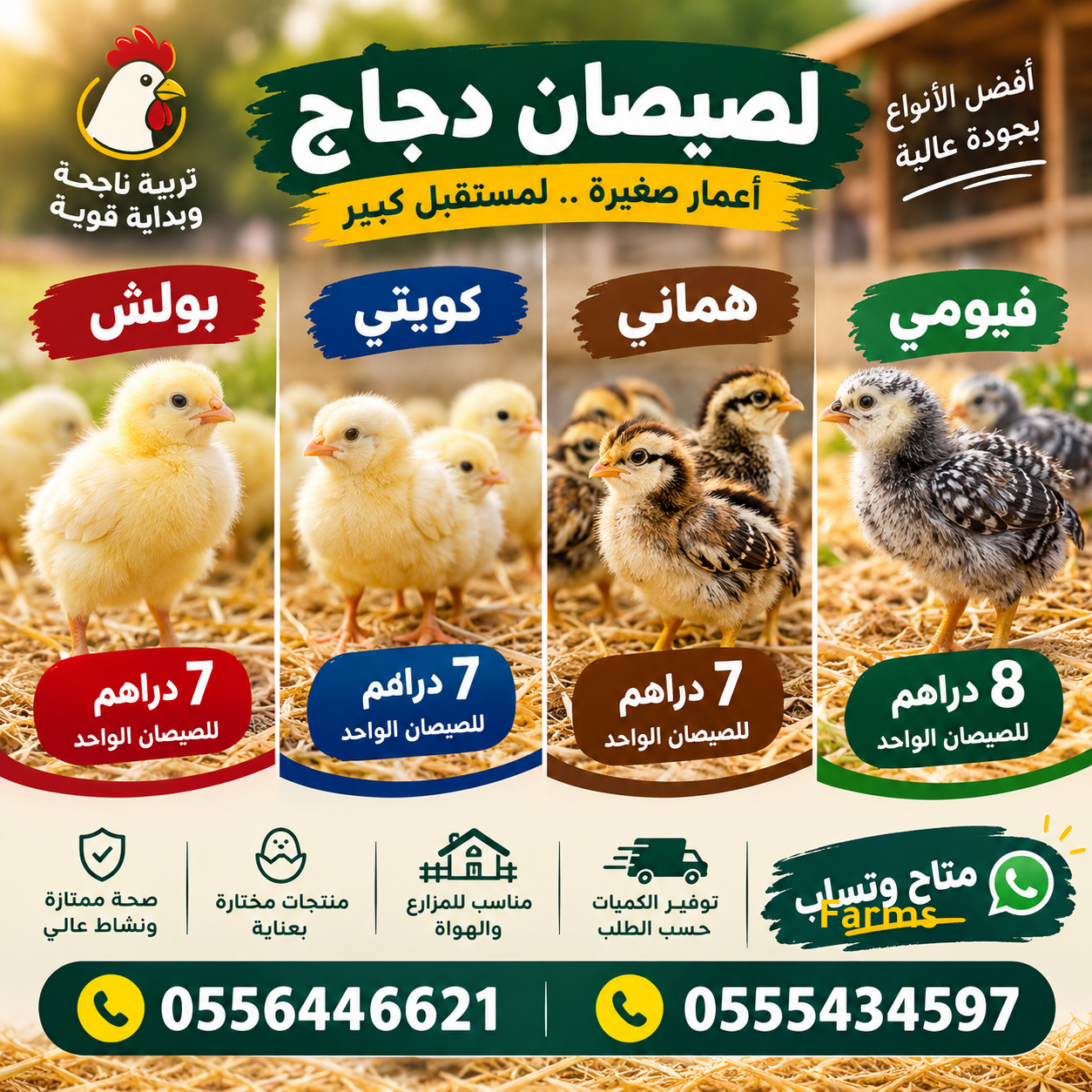 ظاهره الطيبه