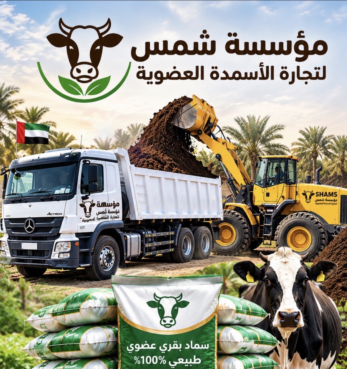 سماد بقر خالص